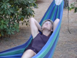 bild 377